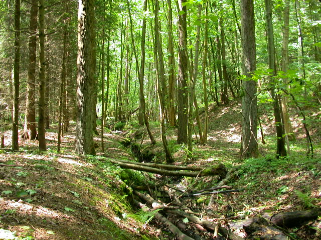 Uscita domenicale...